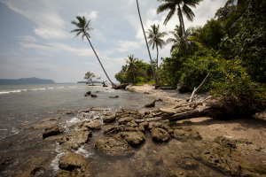 International Freight to Solomon Islands